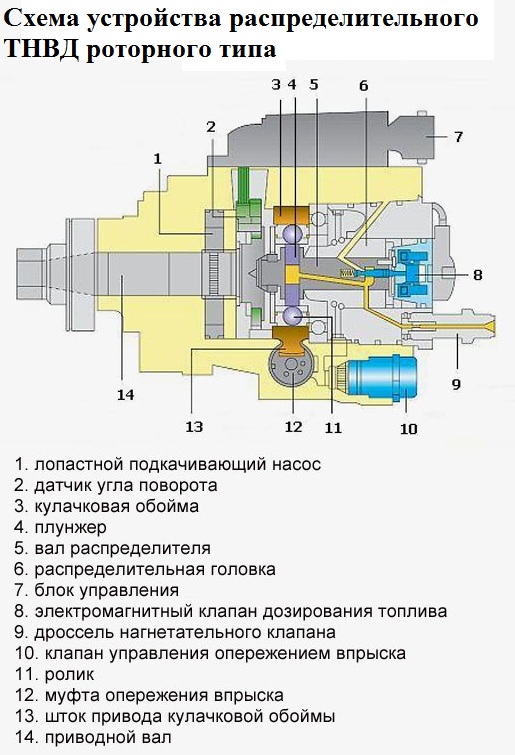 Схема устройства роторного ТНВД